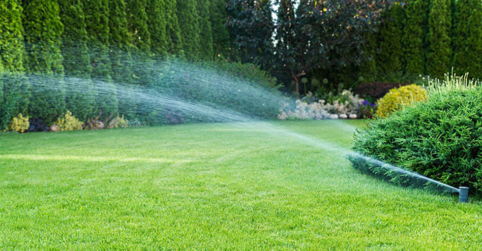 Sprinkler System